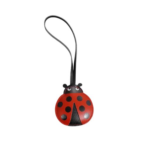 Bagchain lieveheersbeestjes